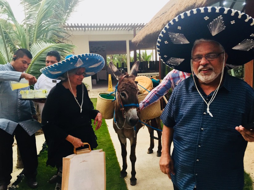 6EFF89D5-B775-43A5-BD4F-BA29AC8D737D